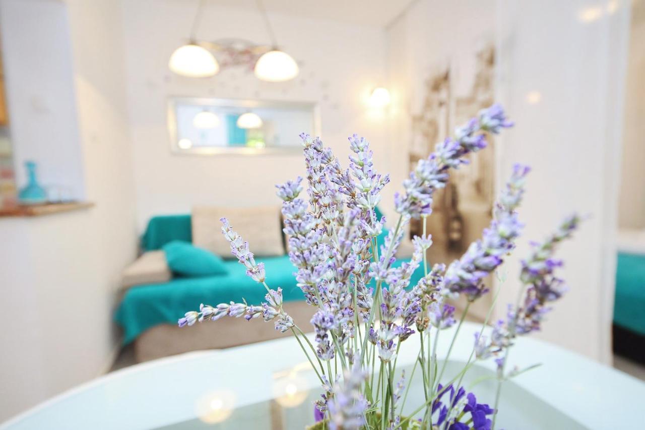 Apartman My Dream Zadar
